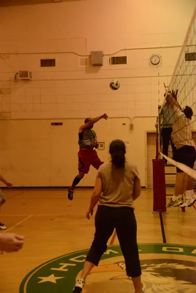 DSC_1686 (Large).JPG